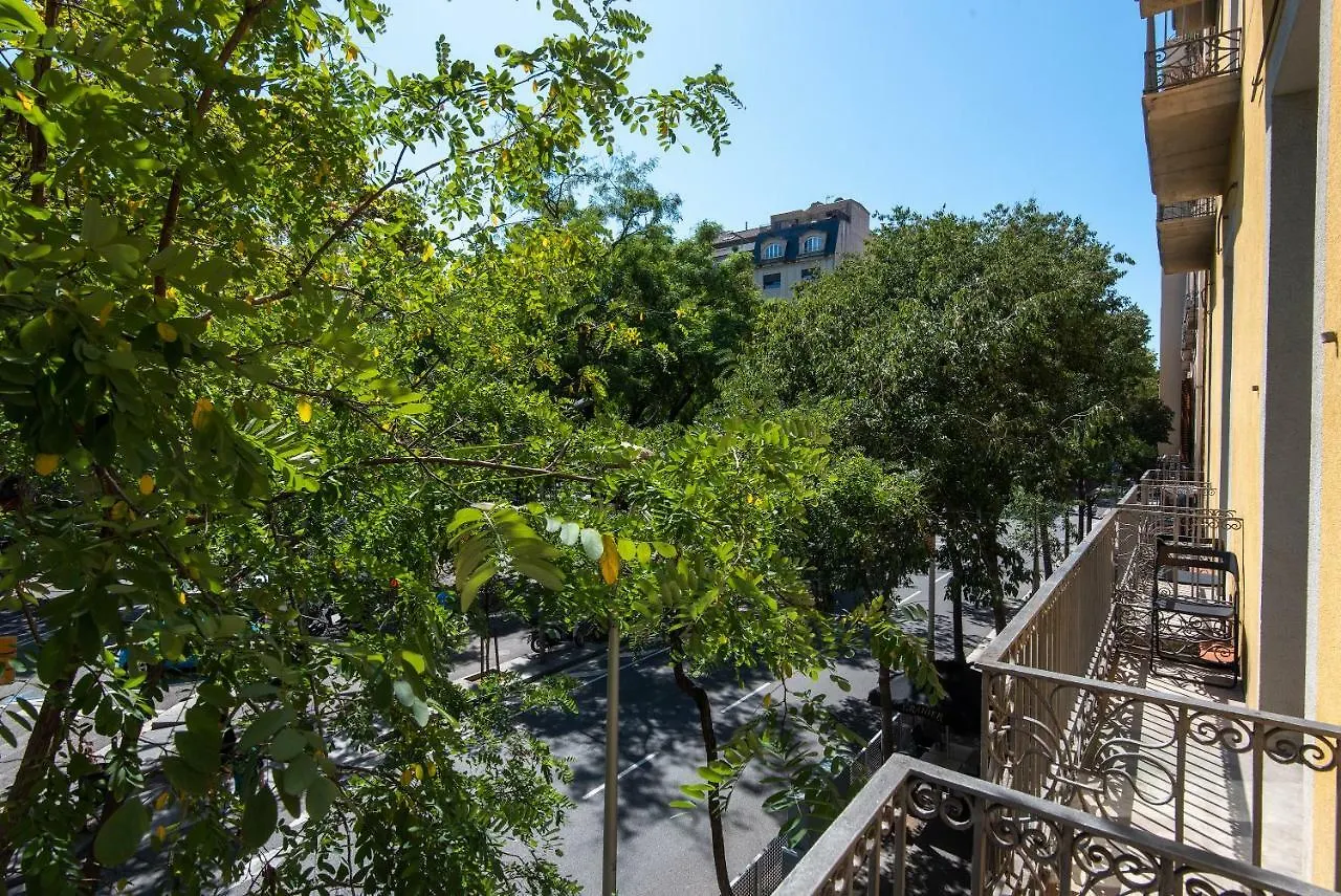 Guest house Plaza Goya Rooms Barcelona